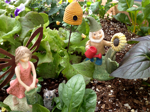 fairy-gnome-garden-81 Фея гном градина
