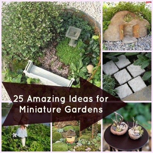 fairy-miniature-gardens-ideas-88_5 Приказни миниатюрни градини идеи