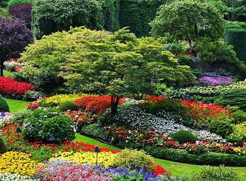 floral-landscaping-ideas-14 Флорални идеи за озеленяване