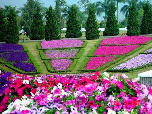 floral-landscaping-ideas-14_13 Флорални идеи за озеленяване