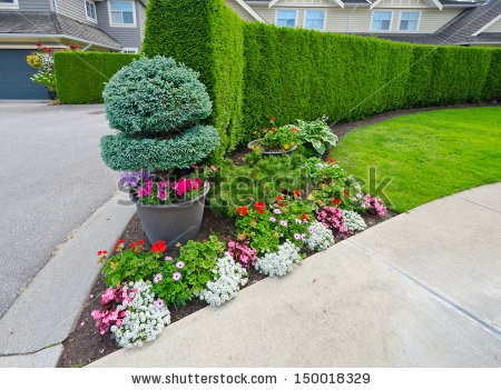 flower-bed-bushes-73_19 Цветни лехи храсти