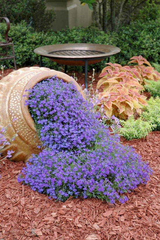Идеи за декорация на цветна градина