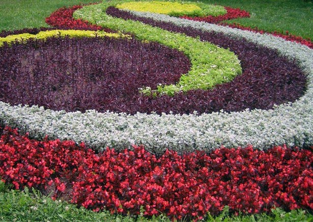 flower-garden-ideas-beginners-53_15 Идеи за цветна градина начинаещи