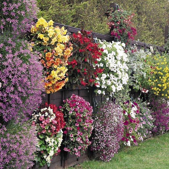 flower-garden-ideas-cheap-25 Цветна градина идеи евтини