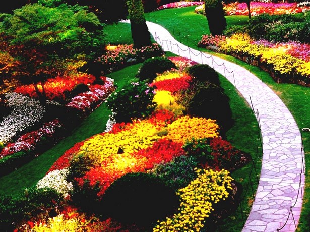 flower-garden-ideas-cheap-25_12 Цветна градина идеи евтини