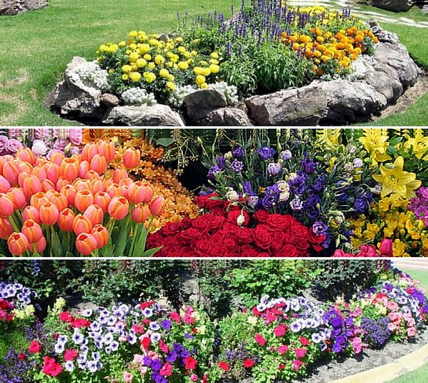 flower-garden-ideas-pictures-82_16 Цветна градина Идеи снимки