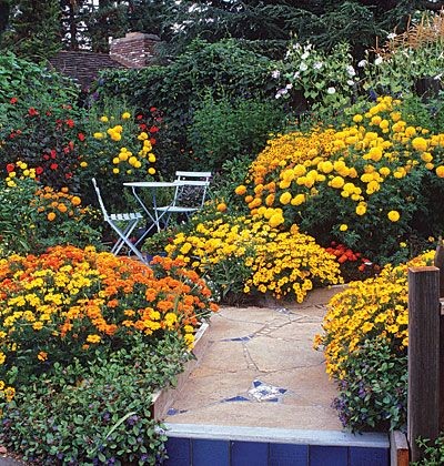 flower-garden-ideas-pictures-82_8 Цветна градина Идеи снимки