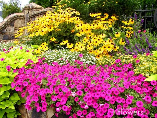 flower-garden-ideas-pictures-82_9 Цветна градина Идеи снимки