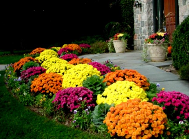 flower-garden-landscaping-57_16 Цветна градина озеленяване