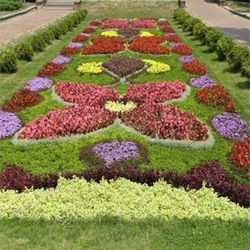 flower-garden-landscaping-57_9 Цветна градина озеленяване