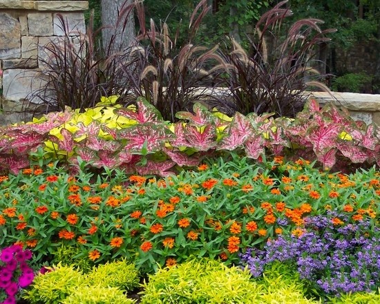 flowers-gardens-and-landscapes-59_10 Цветя градини и пейзажи