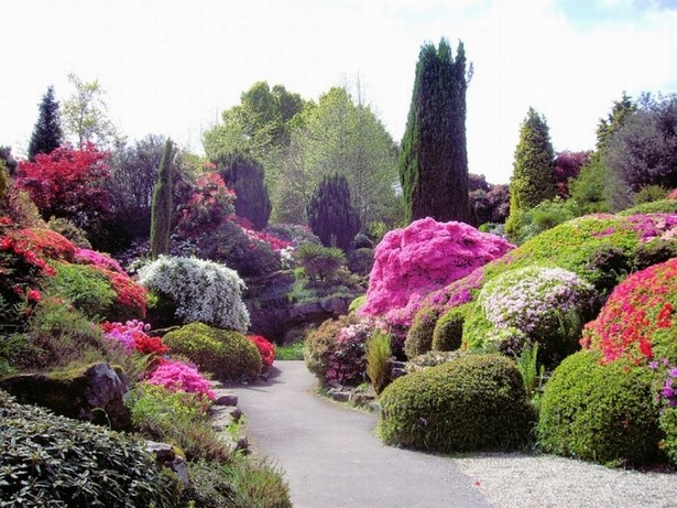 flowers-gardens-and-landscapes-59_7 Цветя градини и пейзажи