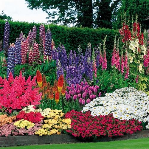 flowers-gardens-and-landscapes-59_8 Цветя градини и пейзажи