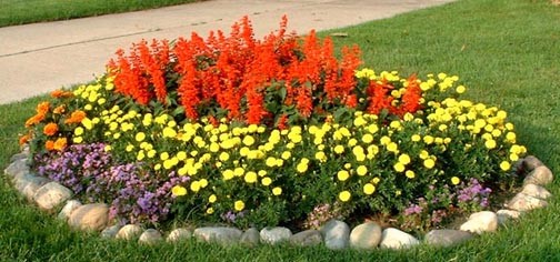 flowers-in-yard-65 Цветя в двора