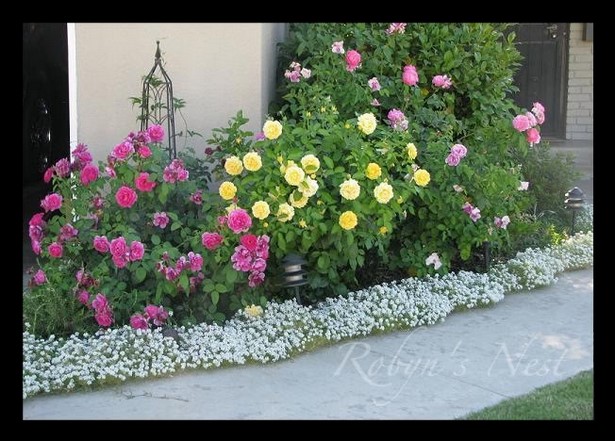 front-garden-flower-beds-10_19 Предни градински цветни лехи