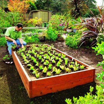 gardening-beds-ideas-64_7 Идеи за градински легла