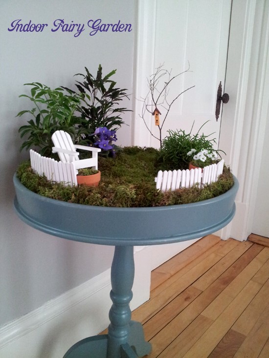 indoor-fairy-garden-ideas-37_13 Интериорни идеи за приказна градина