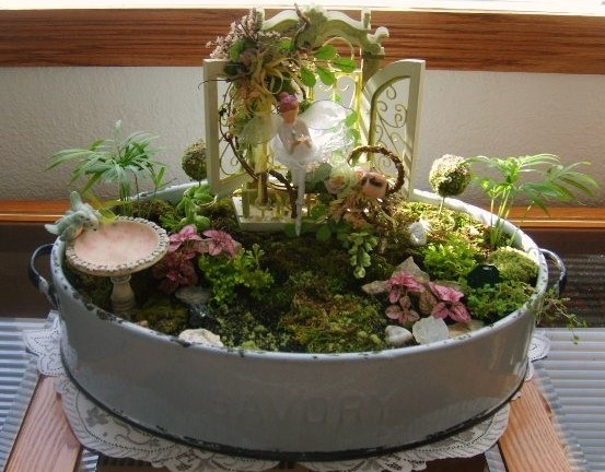indoor-fairy-garden-plants-76_11 Закрит фея градински растения