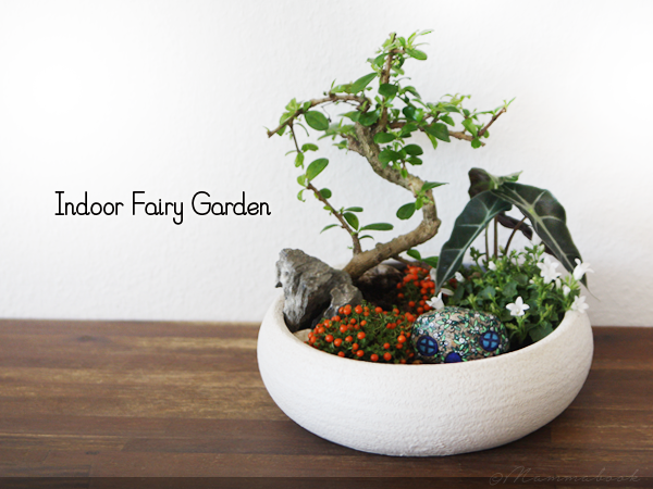 indoor-fairy-garden-97 Закрит фея градина