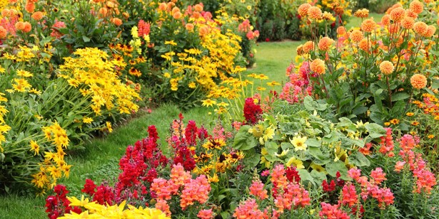 landscaping-flowers-and-plants-45_16 Озеленяване на цветя и растения