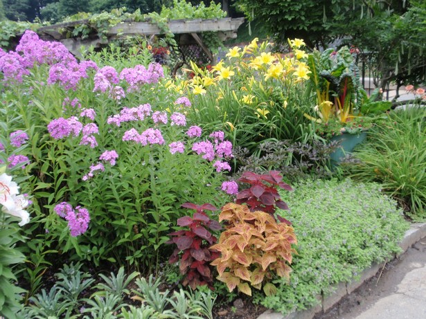 landscaping-flowers-and-plants-45_9 Озеленяване на цветя и растения