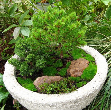 miniature-garden-containers-04_13 Миниатюрни градински контейнери