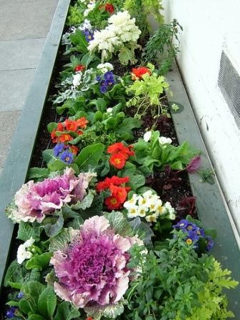 narrow-flower-bed-ideas-59_3 Тесни идеи за цветни лехи