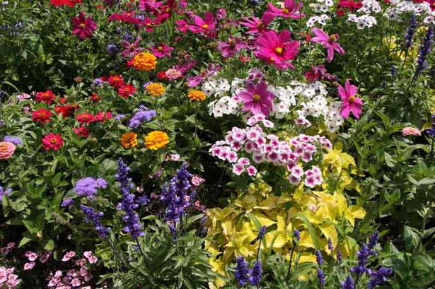 perennial-flower-garden-design-67_10 Многогодишна цветна градина дизайн