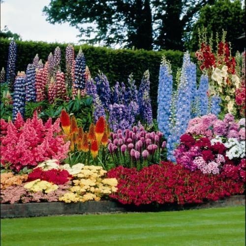 perennial-flower-garden-design-67_2 Многогодишна цветна градина дизайн