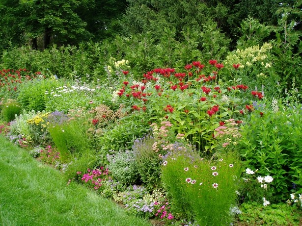 perennial-flower-garden-design-67_5 Многогодишна цветна градина дизайн