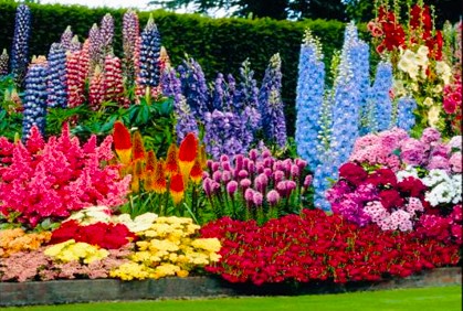 perennial-flower-garden-design-67_9 Многогодишна цветна градина дизайн
