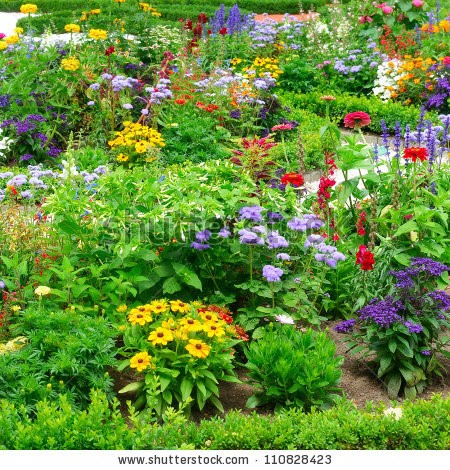 pictures-of-flower-beds-33_9 Снимки на цветни лехи
