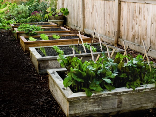 pictures-of-raised-garden-beds-02 Снимки на повдигнати градински легла