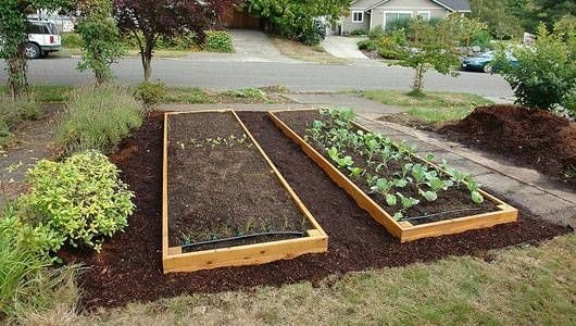 pictures-of-raised-garden-beds-02_15 Снимки на повдигнати градински легла
