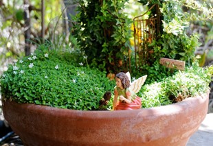 potted-fairy-garden-29_19 Саксийни фея градина