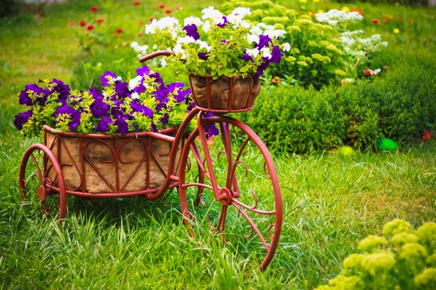 pretty-flower-gardens-90_10 Красиви цветни градини