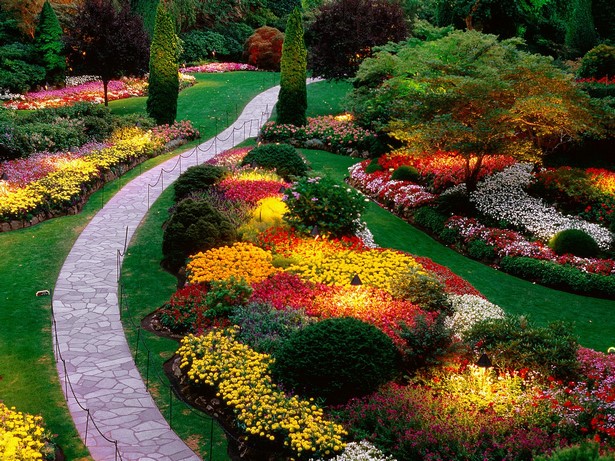 pretty-flower-gardens-90_15 Красиви цветни градини