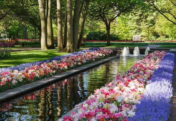 pretty-flower-gardens-90_19 Красиви цветни градини