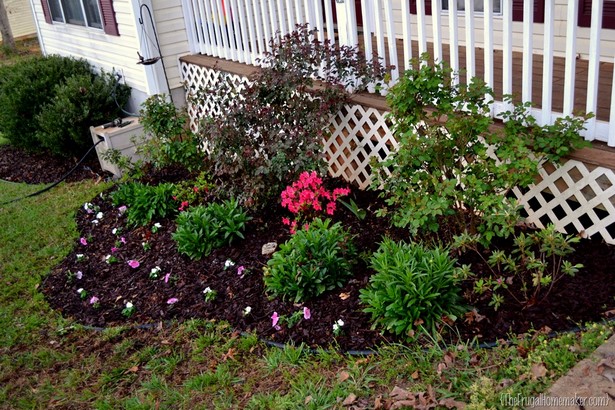shrubs-for-flower-beds-36_12 Храсти за цветни лехи
