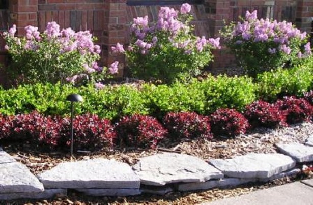 shrubs-for-flower-beds-36_3 Храсти за цветни лехи