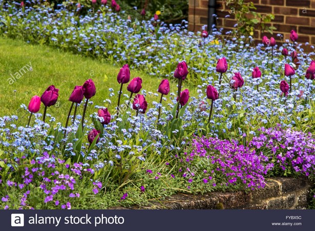 spring-flower-beds-20_10 Пролетни цветни лехи