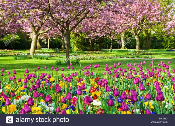 spring-flower-beds-20_11 Пролетни цветни лехи