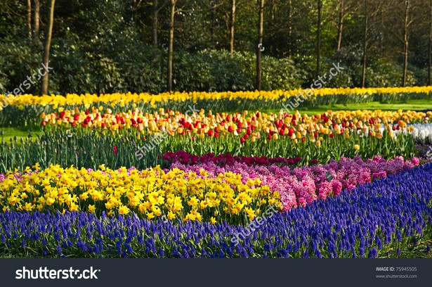 spring-flower-beds-20_16 Пролетни цветни лехи