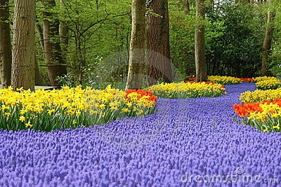 spring-flower-beds-20_6 Пролетни цветни лехи