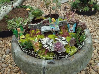 succulent-fairy-garden-75_19 Сочен фея градина