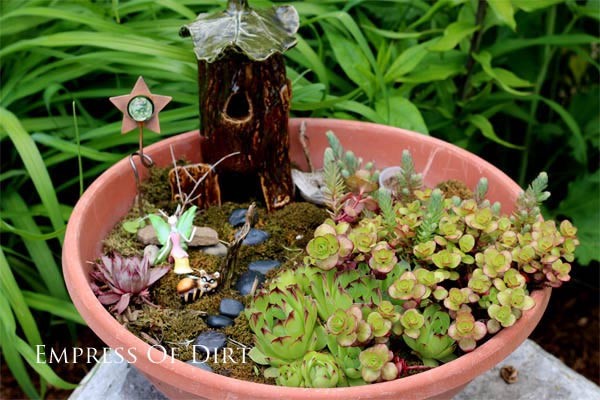 succulent-fairy-garden-75_6 Сочен фея градина