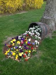 what-to-plant-in-a-flower-bed-48_8 Какво да засадят в цветна леха