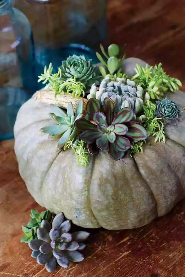 pumpkin-decorating-ideas-78_7-15 Идеи за декориране на тиква