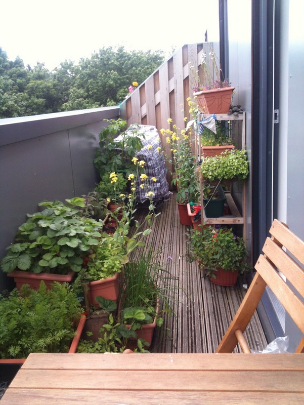 apartment-balcony-herb-garden-97_20 Апартамент балкон билкова градина