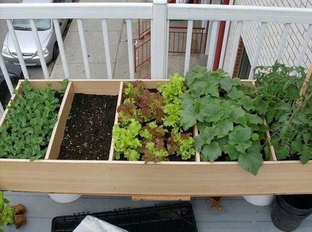 apartment-balcony-herb-garden-97_7 Апартамент балкон билкова градина